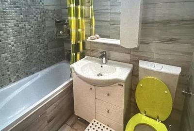 Apartament cu 2 camere decomandat, mobilat în Ozana - 6