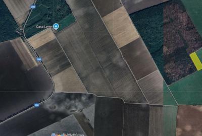 Teren agricol extravilan de 22100 mp, în Grădiștea - 2