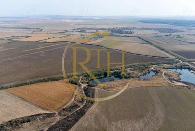 Teren de 10 mp, în Sârbova - 3