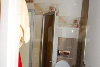 Spațiu comercial, de 208 mp, în Boghiș - 5