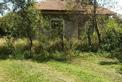 Casa cu curte loc. DEVESEL, jud. MEHEDINTI - 2