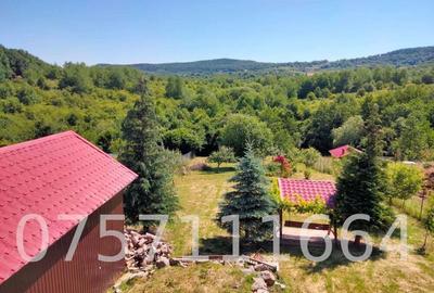 Casă cu 5 camere cu Teren 2100 Mp în Sălicea - 2