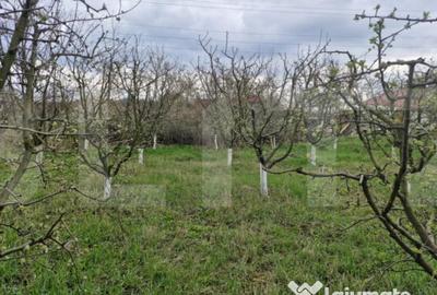 Casă cu 2 camere cu Teren 2700 Mp în Dorohoi - 2