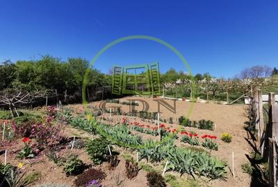 Casă individuală cu 2 camere cu Canalizare în Dealuri Oradea - 2