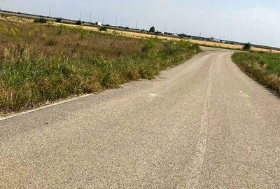 Teren Construcții intravilan de 16682 mp, în Ștefăneștii de Jos - 6