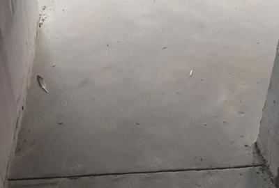 Casa 4 camere Kamsas - 1