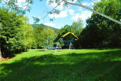 Teren intravilan de vanzare, Valea Doftanei Prahova - 4