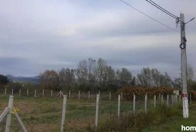 Teren de 1100 mp, în Tăuții-Măgherăuș - 3