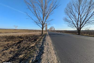 Teren de 10000 mp, în Săucești - 3