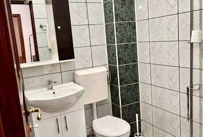 Apartament cu 2 camere semidecomandat, mobilat în Matei Voievod - 5