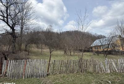 Teren de 6040 mp, în Provița de Jos