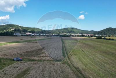 Teren agricol intravilan de 1180 mp, în Sud - 15