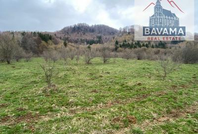 Teren Extravilan de vanzare Glajarie - 9