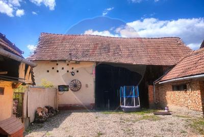 Casa la tara in satul Retis, comuna Bradeni, aproape de ... - 7