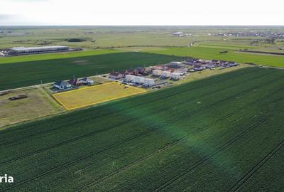 Spațiu comercial, în Sânandrei