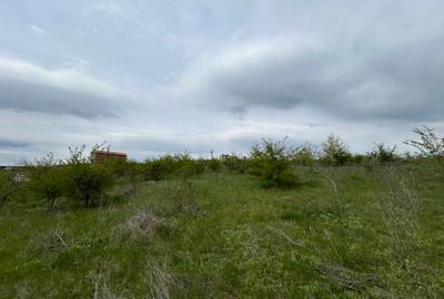 Branesti Teren Superb 5000 de mp acces facil A0 pretabil Complex Case/Vile - 1