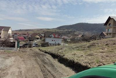 Teren intravilan , cu proiect pentru casa in Dej - 13