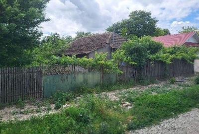 Casa si teren, loc Dragalina, Jud. Calarasi-03.03 - 1