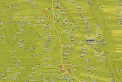 Teren extravilan- loc Bustuchin, Jud Gorj - 1