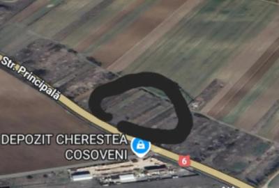 Teren de 1000 mp, în Coșoveni - 1