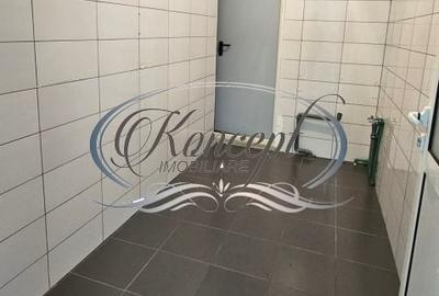 Spatiu comercial cu parcari si gradina, zona Ira - 7