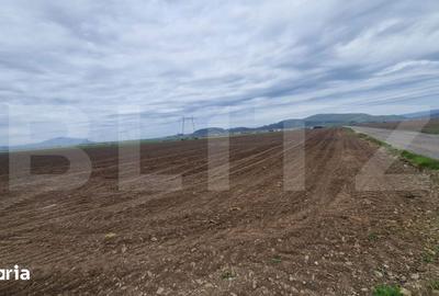 Teren de 18000 mp, în Hărman - 6