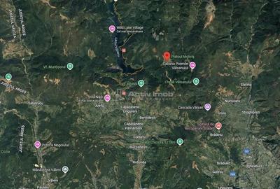 Teren de 69450 mp, în Arefu - 5