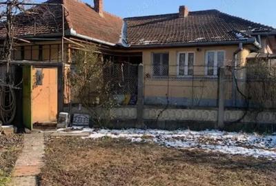 Casă cu 3 camere cu Teren 713 Mp în Lugoj - 20