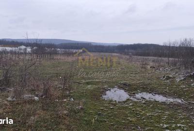 Teren de 7500 mp, în Scorțeni - 1