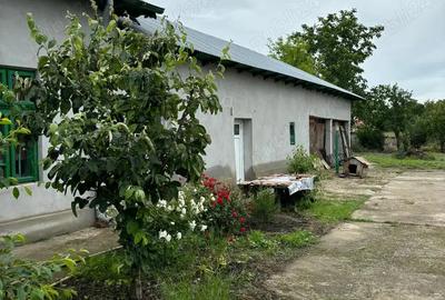 Casa de vanzare in Calomfire?ti! - 2