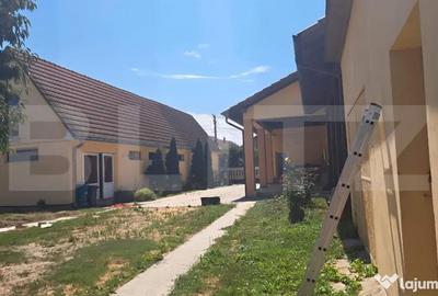 Spațiu comercial, de 7,900 mp, în Botiz - 1