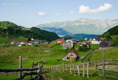 Locatie cu patru anotimpuri intr- o zi, incadrata de 2.350 teren, Bran - Fundata - 5