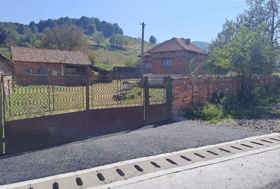 Casă cu 3 camere în Densuș - 1