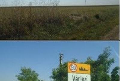 Teren de 5000 mp, în Vârlezi - 6
