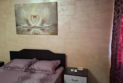 Garsonieră în Bran - 6