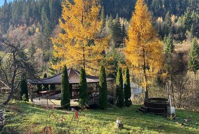 Casa moderna cu teren generos direct de la proprietar - 9