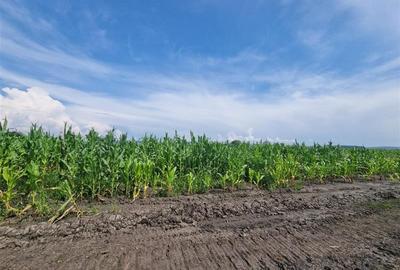 Teren intravilan de 510 mp, în Nazna - 4