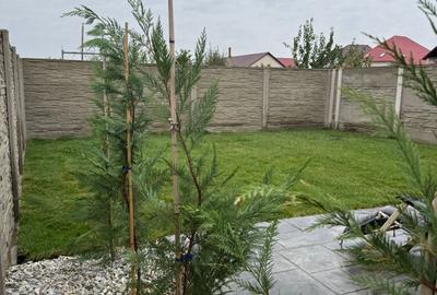 360 Grade Imobiliare oferă spre vânzare un ½ duplex în Remetea Mare - 13