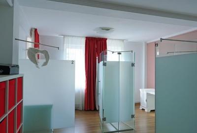 Cladire Stradala Pozitie Excellenta Pe  Blvd. George Cosbuc) - 8