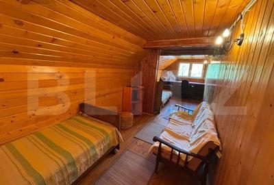 Vila de vanzare, cu 4 camere, 320 mp, zona Șuvita - 11