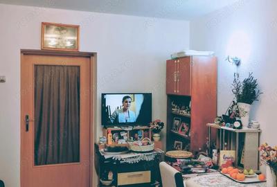 Casă cu 2 camere în Timocului-Șaguna - 3