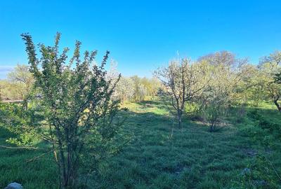 Casă cu 2 camere în Ceanu Mic - 5