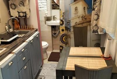 Apartament cu 2 camere decomandat, mobilat în Ultracentral - 8