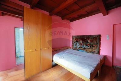 De vanzare casa cu 3 camere si teren 3205 mp in Sannicolau Roman - 10