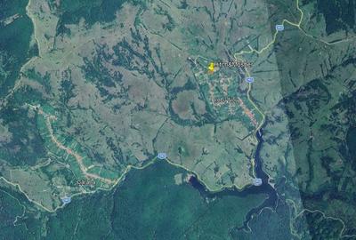 Teren Construcții intravilan de 3939 mp, în Brebu Nou - 7