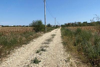 Domnesti Teghes - teren de vanzare parcelat - 10.000mp cu deschidere la padure Domnesti Teghes - teren de vanzare parcelat - 10.000mp cu deschidere la padure - 4