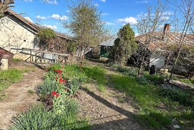 Casă cu Teren 4400 Mp în Mihai Viteazu - 2