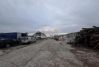 Spațiu comercial, de 17,770 mp, în Săcălaz - 4