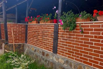 RECO Terasa Pentru Petreceri in Cheriu - 4