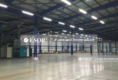 Spațiu comercial, de 4,500 mp, în Remetea Mare - 1